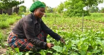 BIO AGROPASTORALISME