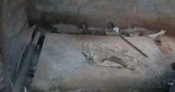 L'EDUCATION DES JEUNES  ET ORPHELINS