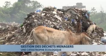 Valorisation de déchets plastiques