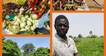 VITAL AGRI CONCEPT DE LA FERME CAP KEUR WALY